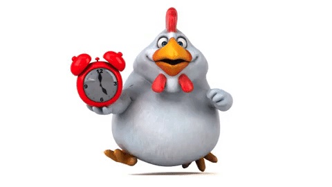 A humorous image of a chicken holding a clock, symbolizing various ways of telling time in Spanish.