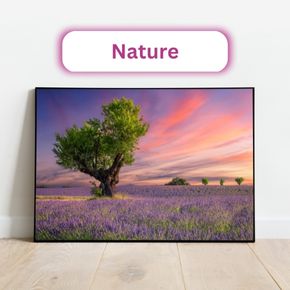 A scenic landscape with flowers and trees, representing the Nature conversation topic in Language Vibes